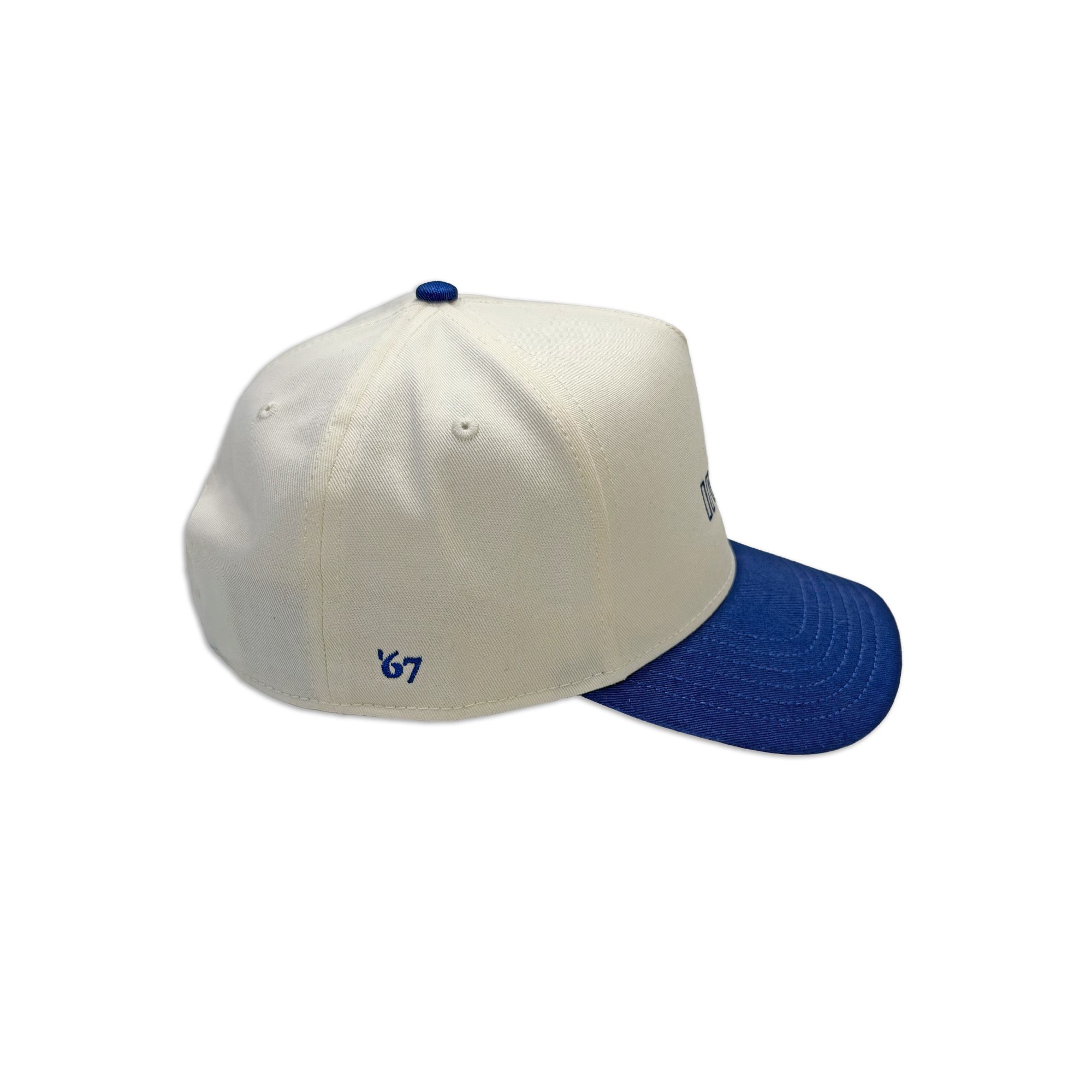 The 2-Tone Retro Hat - Image 3